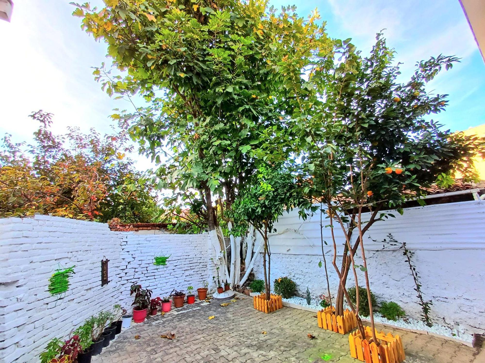 Bloom Villa&apartments * Tirana